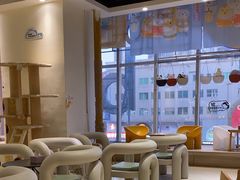 -藏猫猫咖啡主题馆(中央大道店)