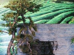 -湘邻呷铺·田园家宴(汉基广场店)