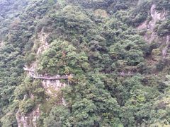 -龙湾潭国家森林公园