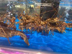 -神农美特好生鲜超市(康宁街店)