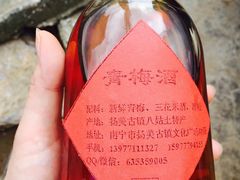 iphone_upload_pic-扬美古镇景区