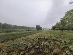 -洨河生态公园