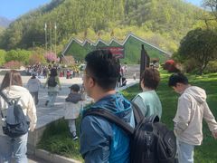 -牛背梁国家森林公园