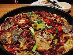 -老板恋上鱼(高新万达店)