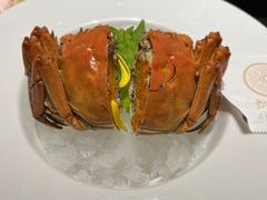 -甄御•海鲜新青岛菜(麦岛店)