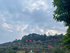 -枇杷园食为鲜火锅(南山店)