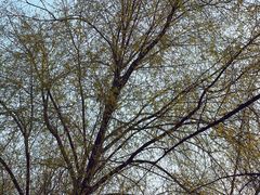 -长春市南湖公园