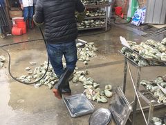 -蚝专家(北滘店)