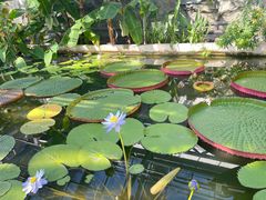 -国家植物园南园