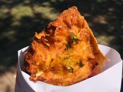 -半月镰胡姐脆皮萝卜饺子