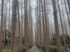 -上海怡沁园度假酒店