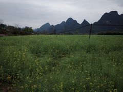 -村上春树