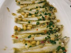 普宁豆酱蒸沙尖鱼-新兴家喻酒家·羊城名宴(昌岗店)