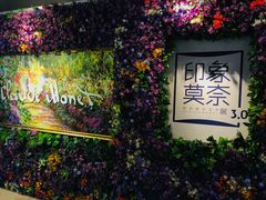 -印象莫奈时光映迹艺术展