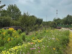 -武汉紫薇都市田园