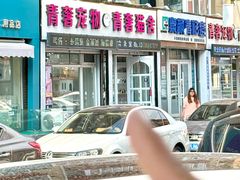 -青奢宠物·青奢猫舍