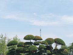 -金银湖国家城市湿地公园
