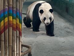 -灵玲国际马戏城