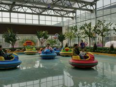 -南宫五洲植物乐园