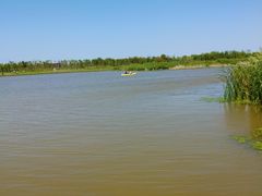 -春花秋色城市公园