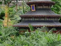 -南宫五洲植物乐园