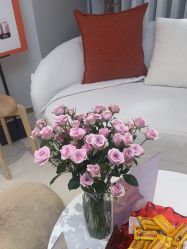 -WENDY·温迪皮肤管理