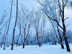 -中旅松花湖滑雪场