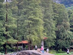 -深圳仙湖植物园