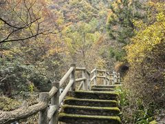 -神农架香溪源景区