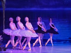 -交通银行前滩31演艺中心