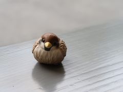 -麻雀咖啡SPARROW COFFEE(十全街店)