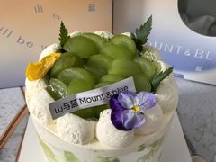 -山与蓝·轻糖鲜果蛋糕(勒泰店)