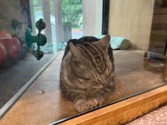 -有才叔的小馆(招商依云曲江店)