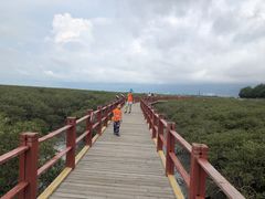 -北海金海湾红树林生态旅游区