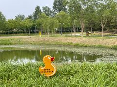 -东郊湿地公园