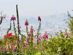 -广州市白云山风景名胜区