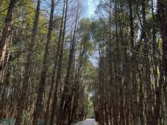 -同里国家湿地公园
