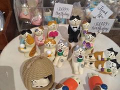 -猫咪博物馆(顶澳仔猫街店)