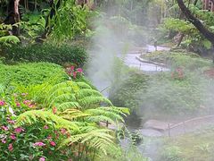 -Chom Cafe and Restaurant