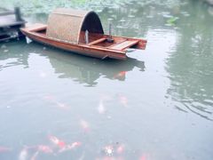 -鹅湖玫瑰文化园