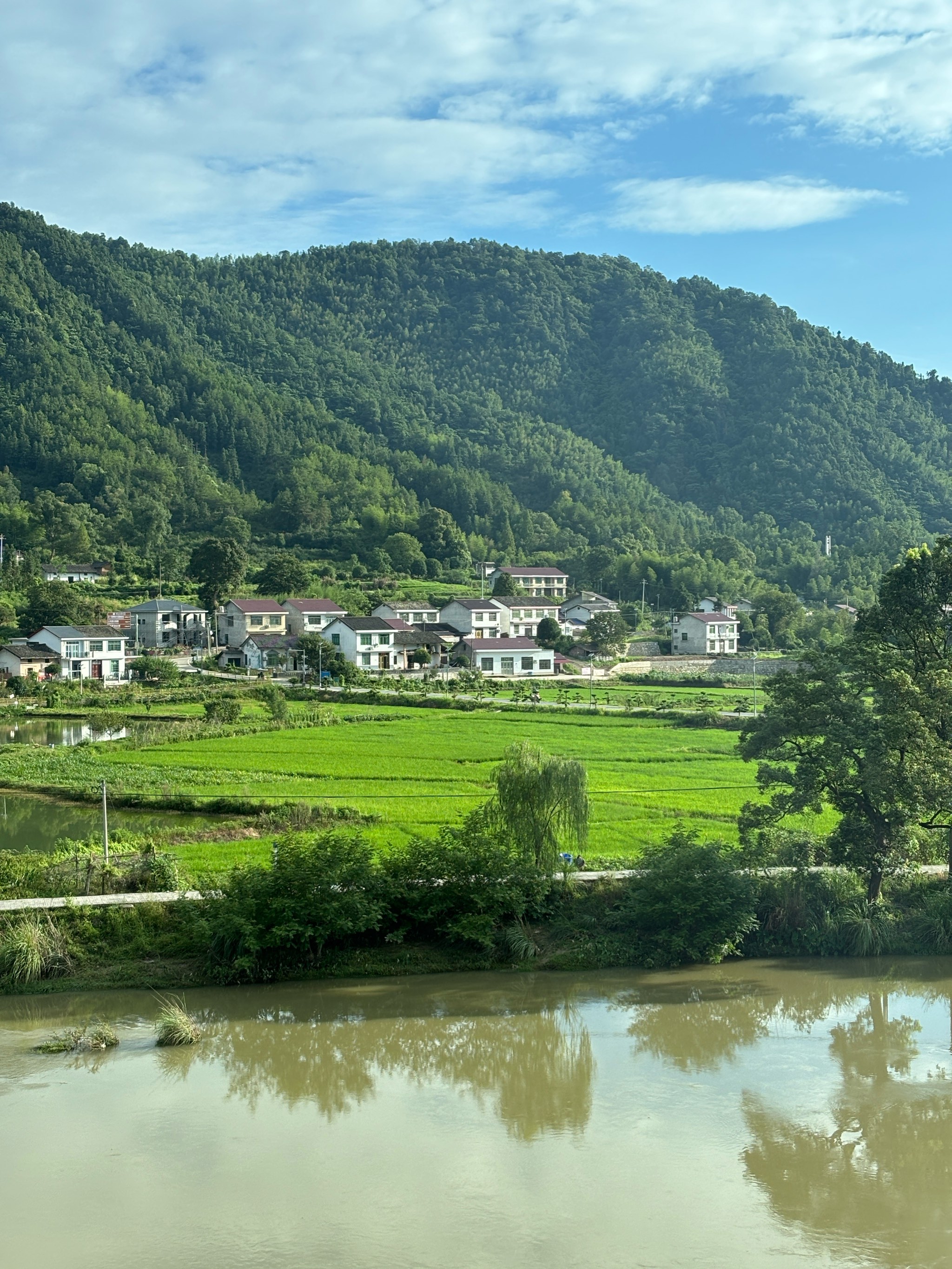 乡下的风景真实图片