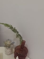 -VE专注问题肌·赛诺龙&科学美肤中心