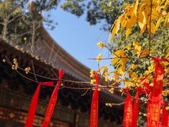 -宝通禅寺