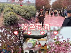 -凤凰沟景区