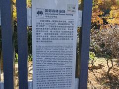 -广州市石门国家森林公园