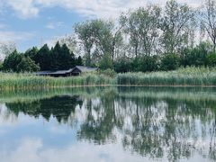 -溱湖国家湿地公园