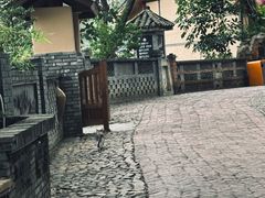 -观澜山水田园