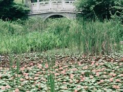 -东湖磨山景区