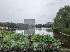 -西海子公园