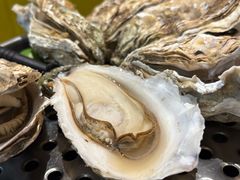 -蚝美人·生蚝海鲜烧烤(茶花园店)